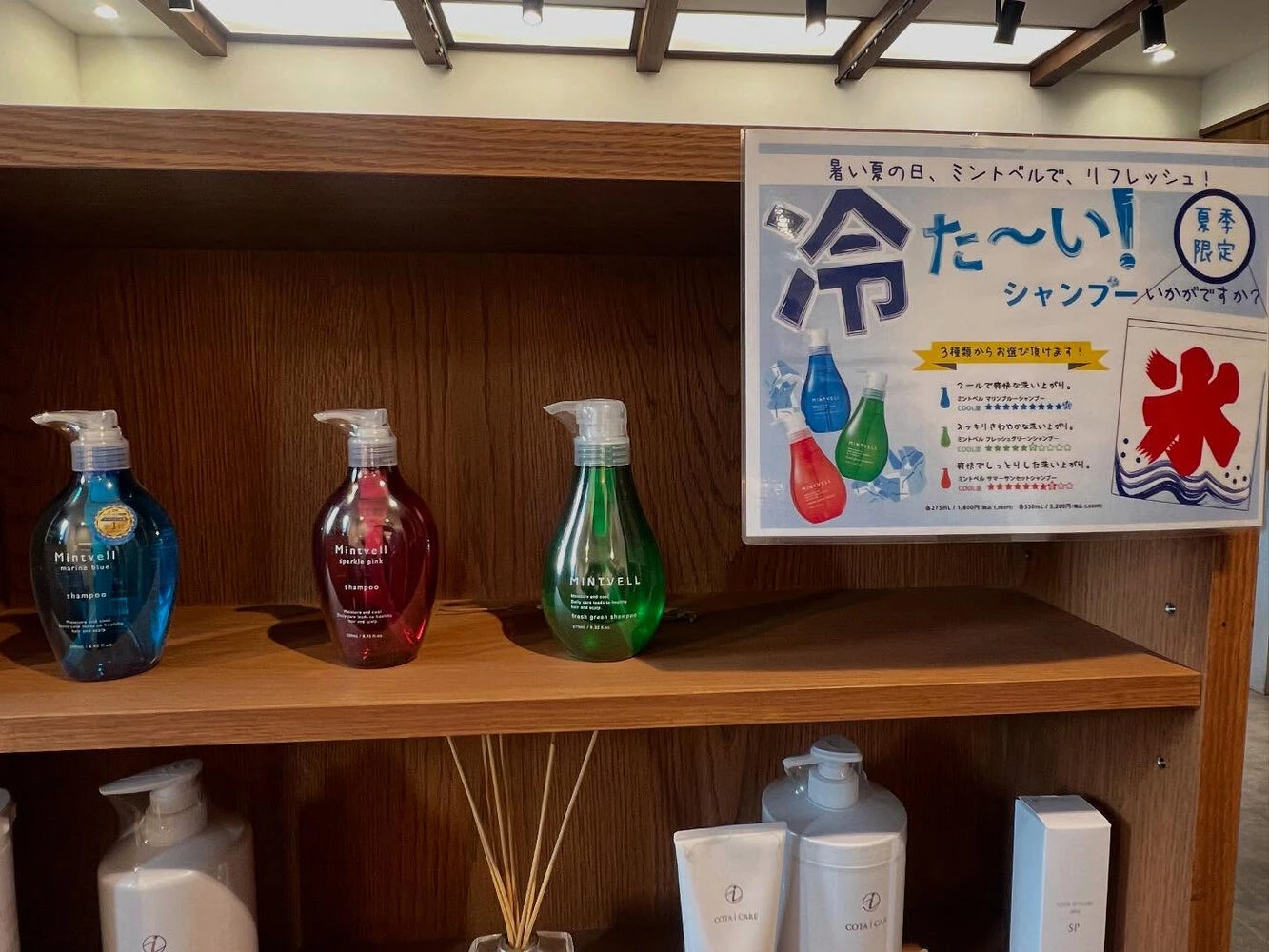 ブログ